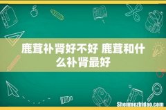 鹿茸补肾好不好 鹿茸和什么补肾最好