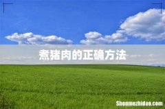 煮猪肉的正确方法