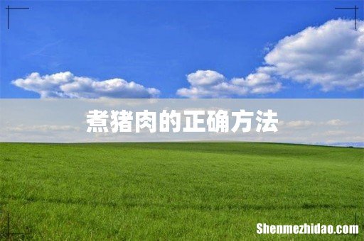 煮猪肉的正确方法