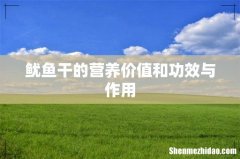 鱿鱼干的营养价值和功效与作用