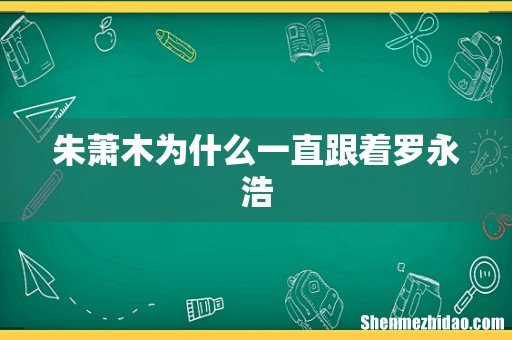 朱萧木为什么一直跟着罗永浩
