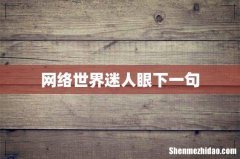 网络世界迷人眼下一句