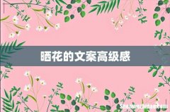 晒花的文案高级感