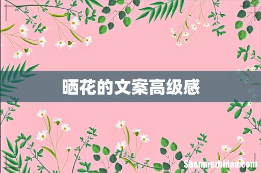 晒花的文案高级感