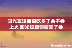 阳光玫瑰葡萄吃多了会不会上火 阳光玫瑰葡萄吃了会长胖吗