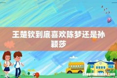 王楚钦到底喜欢陈梦还是孙颖莎