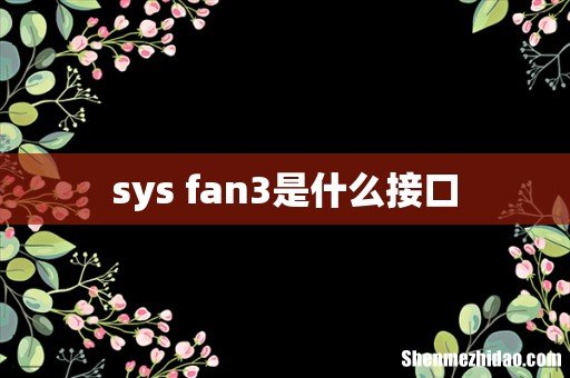 sys fan3是什么接口