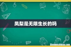 凤梨是无限生长的吗