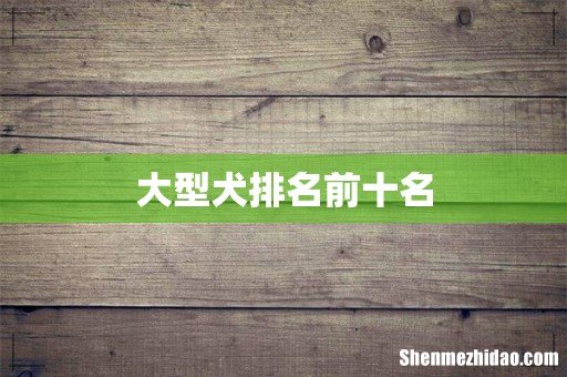 大型犬排名前十名