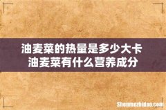 油麦菜的热量是多少大卡 油麦菜有什么营养成分