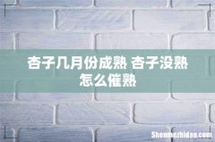 杏子几月份成熟 杏子没熟怎么催熟