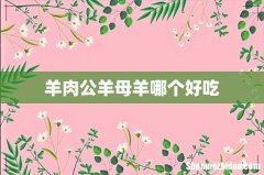 羊肉公羊母羊哪个好吃