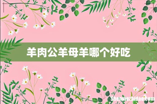 羊肉公羊母羊哪个好吃