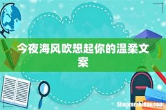 今夜海风吹想起你的温柔文案