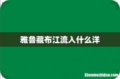 雅鲁藏布江流入什么洋