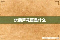 水葫芦花语是什么