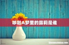 哆啦A梦里的露莉是谁