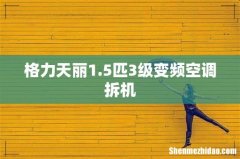 格力天丽1.5匹3级变频空调拆机