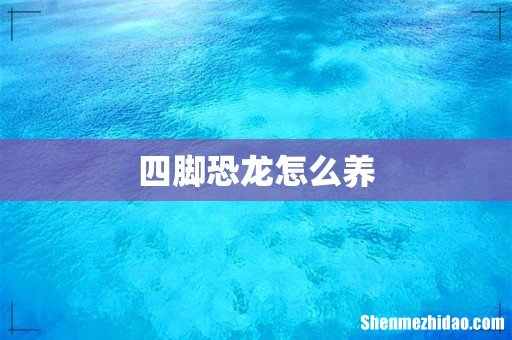 四脚恐龙怎么养