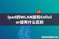 ipad的WLAN版和Cellular版有什么区别