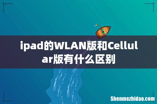 ipad的WLAN版和Cellular版有什么区别