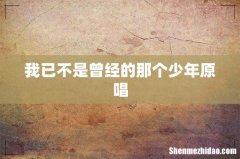 我已不是曾经的那个少年原唱