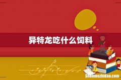 异特龙吃什么饲料