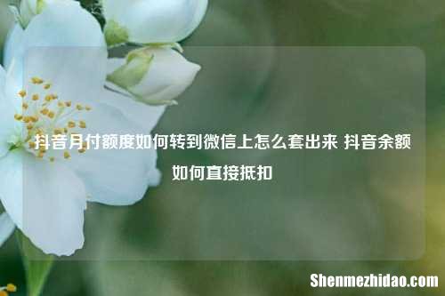 抖音月付额度如何转到微信上怎么套出来 抖音余额如何直接抵扣