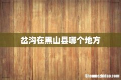岔沟在黑山县哪个地方