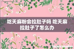 吃天麻粉会拉肚子吗 吃天麻拉肚子了怎么办