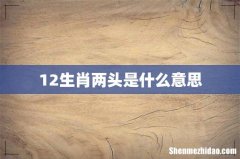 12生肖两头是什么意思