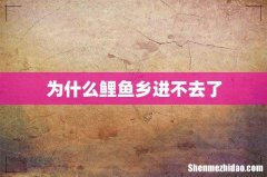 为什么鲤鱼乡进不去了