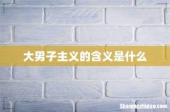 大男子主义的含义是什么