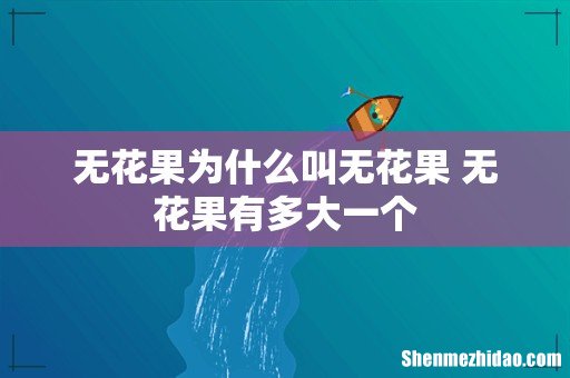 无花果为什么叫无花果 无花果有多大一个