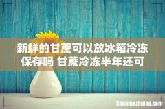 新鲜的甘蔗可以放冰箱冷冻保存吗 甘蔗冷冻半年还可以吃么
