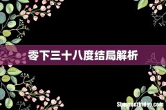 零下三十八度结局解析