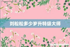 刘松松多少岁升特级大师