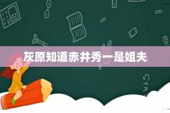 灰原知道赤井秀一是姐夫