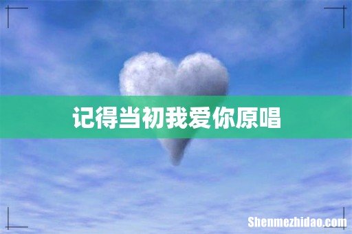 记得当初我爱你原唱