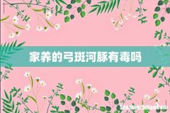 家养的弓斑河豚有毒吗