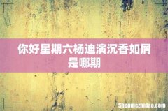 你好星期六杨迪演沉香如屑是哪期
