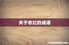 关于志红的成语