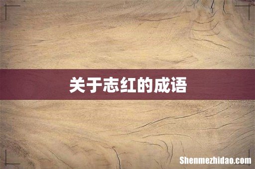 关于志红的成语