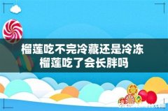 榴莲吃不完冷藏还是冷冻 榴莲吃了会长胖吗