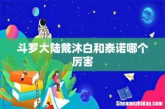 斗罗大陆戴沐白和泰诺哪个厉害