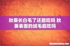 秋葵长白毛了还能吃吗 秋葵表面的绒毛能吃吗