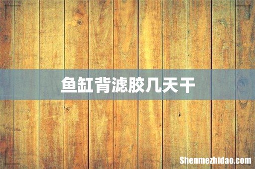 鱼缸背滤胶几天干