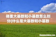 什么是大基数和小基数 体重大基数和小基数怎么划分