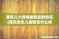 唐氏新生儿面部是什么样子？能看出来吗？ 唐氏儿大排畸最明显的特征