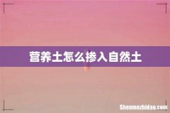 营养土怎么掺入自然土